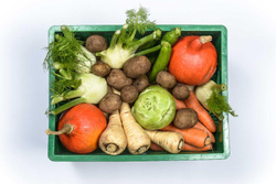 Produktfoto zu Schonkost