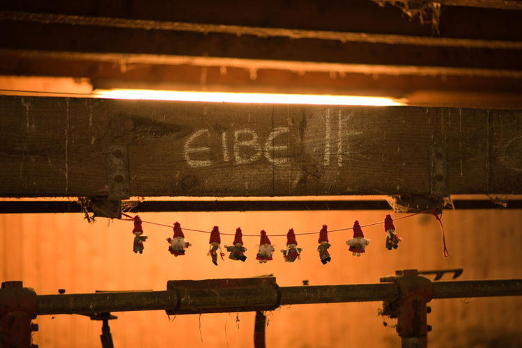 Weihnachtliche Impressionen aus dem Stall