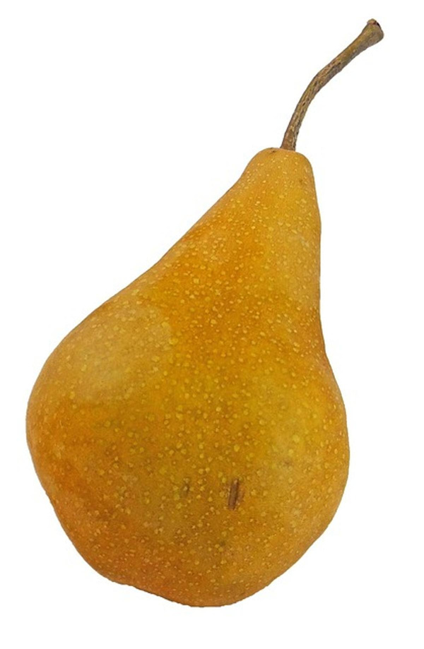Produktfoto zu Birnen, Harrow