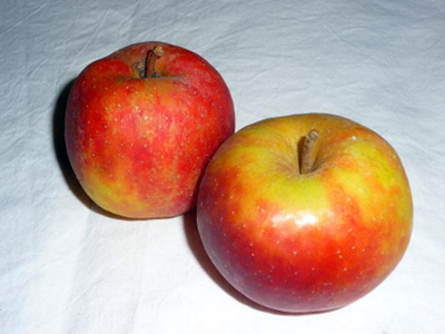 Produktfoto zu Äpfel, Braeburn