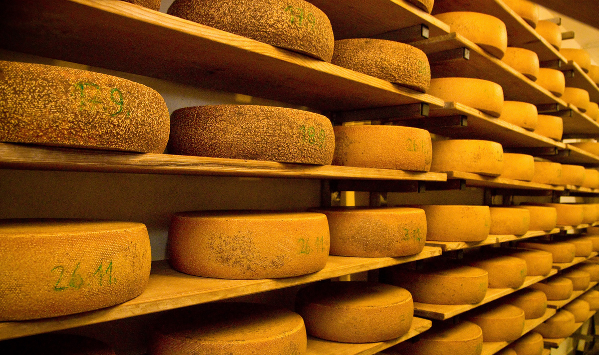 KI generiert: Käselaibe auf Holzregalen in einer Reifekammer. Text auf Käselaiben: Nummerierungen und Daten.