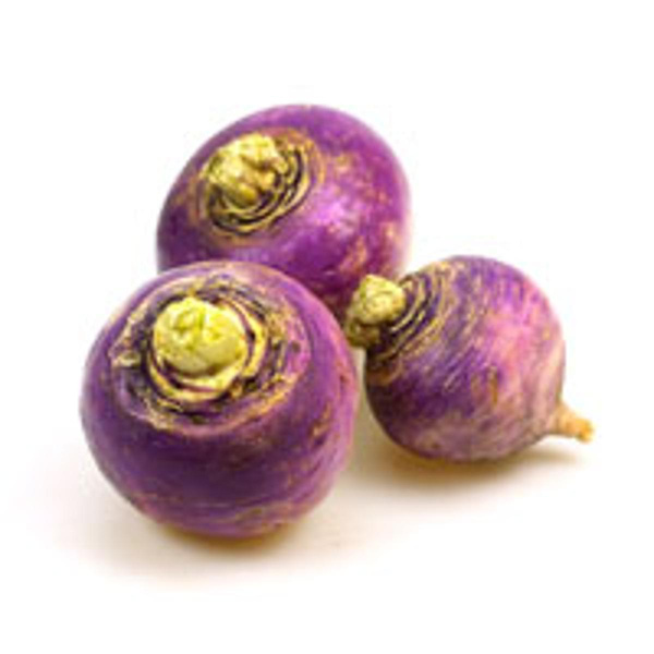 Produktfoto zu Navet Rübchen, violett