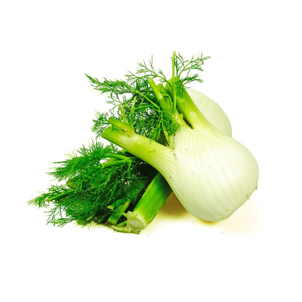 Produktfoto zu Fenchel mit Grün