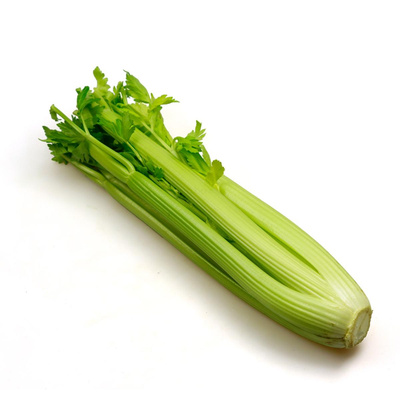 Produktfoto zu Staudensellerie gestutzt