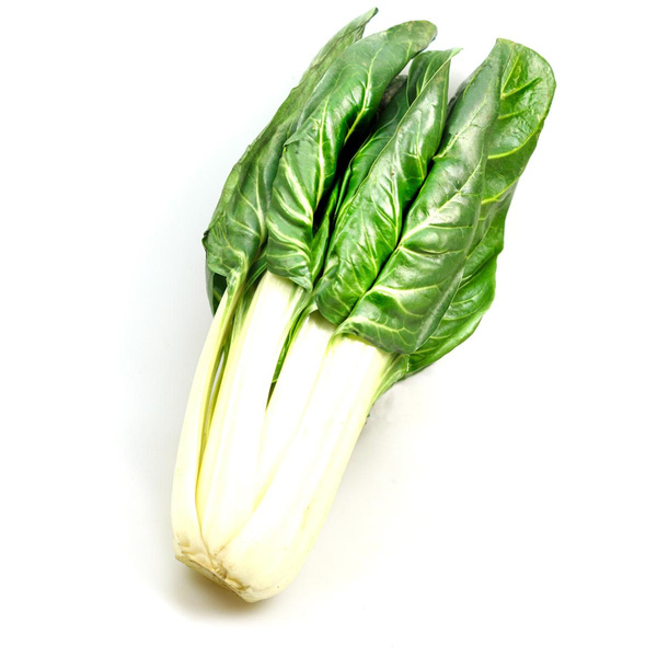 Produktfoto zu Mangold Staude