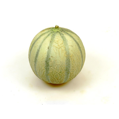 Produktfoto zu Charantais Melone