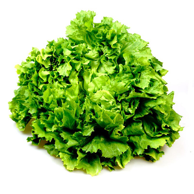 Produktfoto zu Bataviasalat, grün