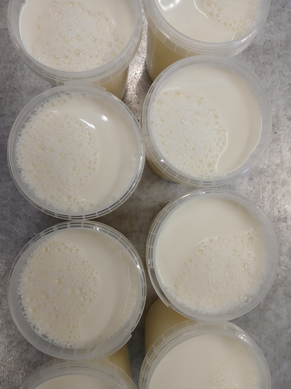 KI generiert: Acht Becher mit einer cremefarbenen Flüssigkeit, die Blasen bildet.