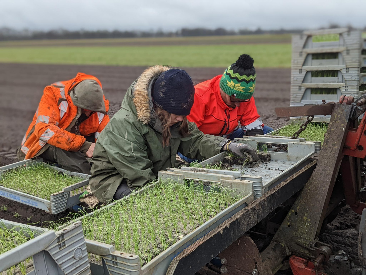 KW 15 - Michael, Julia und Mateusz pflanzen mit dicker Winterjacke.