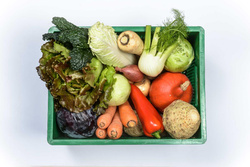 Produktfoto zu Gemüsesortiment
