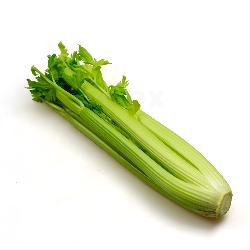 Produktfoto zu Staudensellerie gestutzt