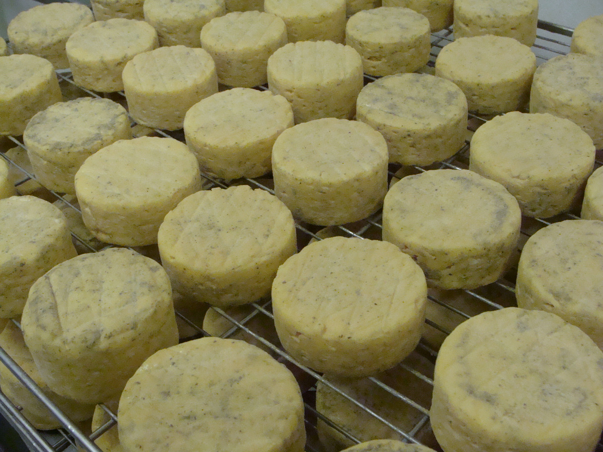 KI generiert: Runde Käselaiber auf einem Gitter zum Trocknen oder Reifen. Kein Text vorhanden.