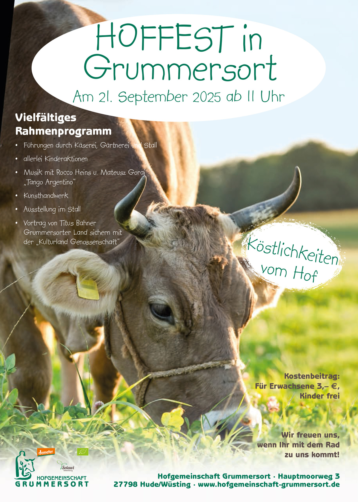 KI generiert: Cow grazing on a field; text promotes a farm festival in Grummersort on September 21, 2025, with activities.