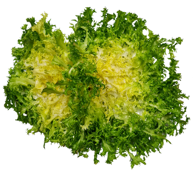 Produktfoto zu Frisée Salat