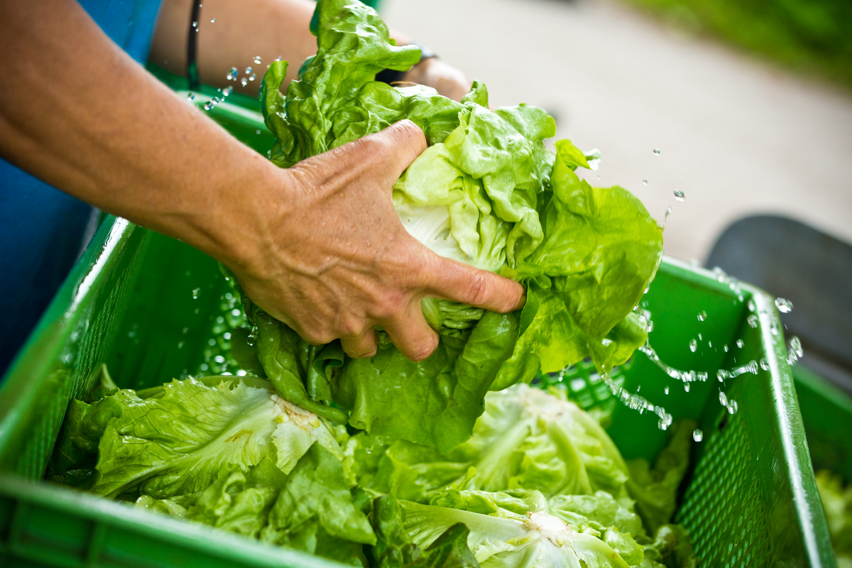 Salatwaschen
