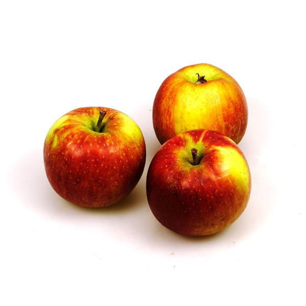 Produktfoto zu Äpfel, Jonagold