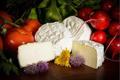 Produktfoto zu Grummersorter Zwerge