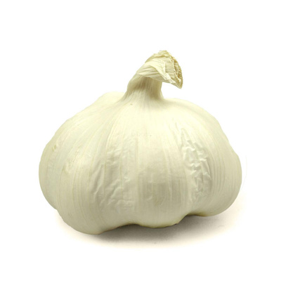 Produktfoto zu Knoblauch, frisch