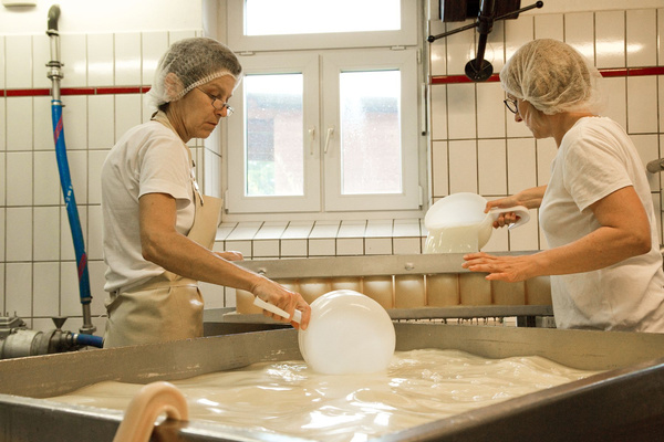 KI generiert: Zwei Personen in einer Molkerei arbeiten an der Käseherstellung.