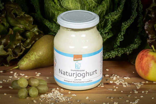 Produktfoto zu Joghurt 500g im Becher
