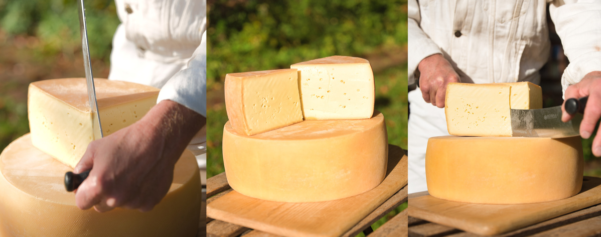 KI generiert: Drei Bilder von einem großen Käselaib, bei dem Stücke geschnitten werden.
