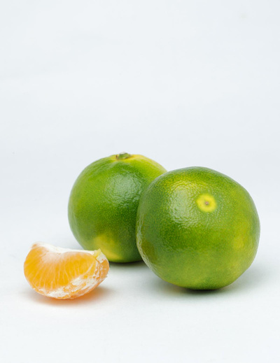 Produktfoto zu Satsuma grün
