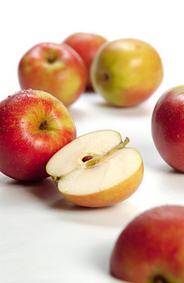 Produktfoto zu Äpfel, Holsteiner Cox