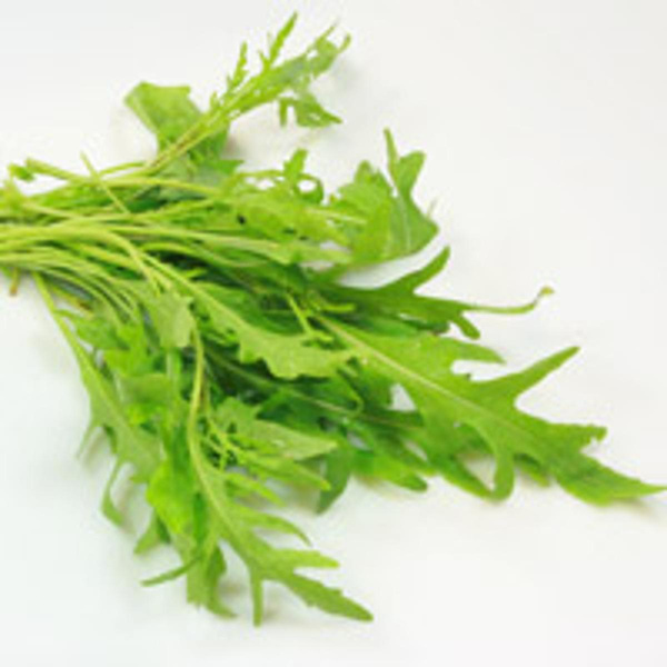 Produktfoto zu Schnittsalat Mix