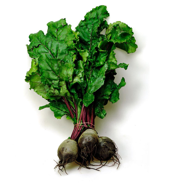 Produktfoto zu Rote Bete Bunde