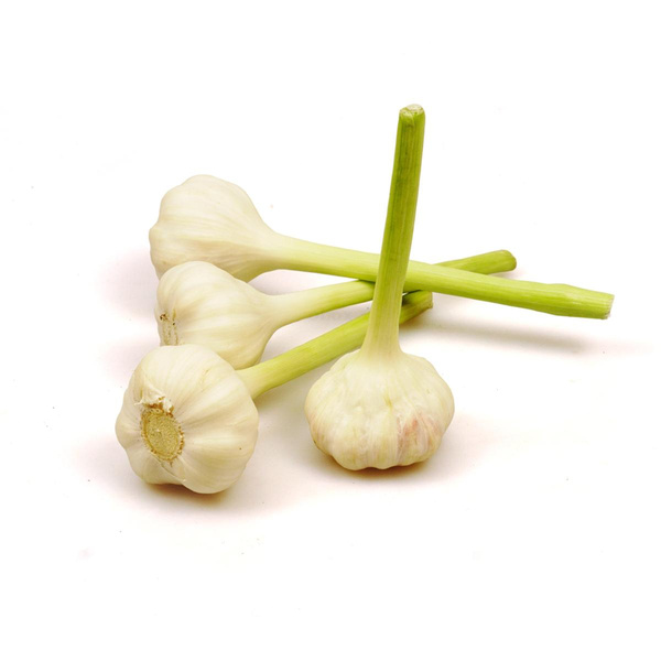 Produktfoto zu Knoblauch FREI