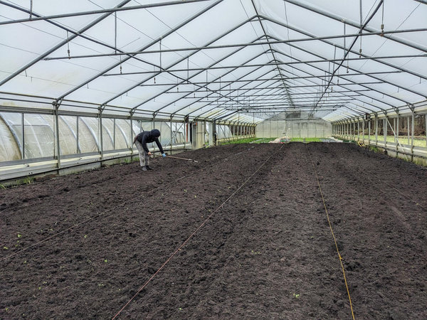 Anschließend legt Stefanie die Beete an