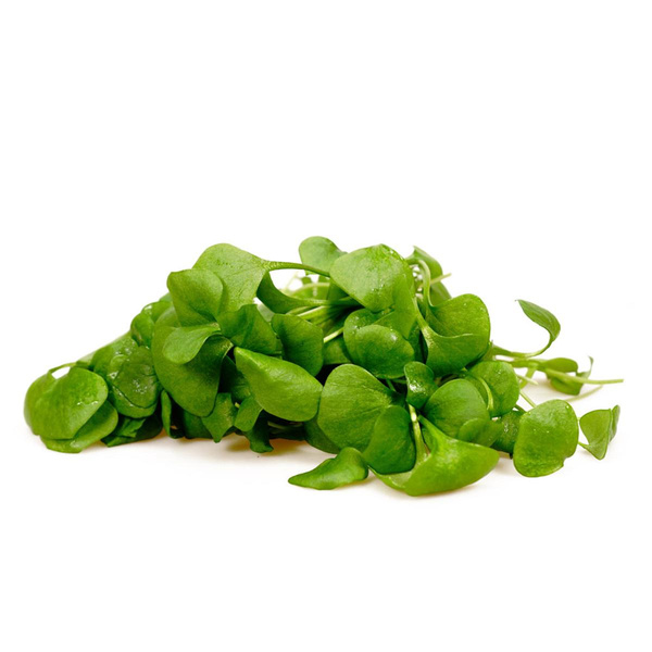 Produktfoto zu Postelein